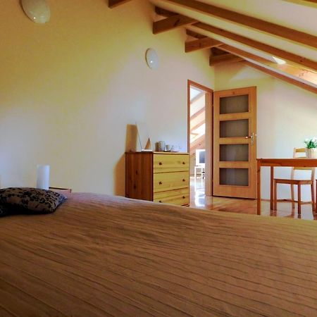 Apartmán Strzegom Apartament-Pokoje Exteriér fotografie